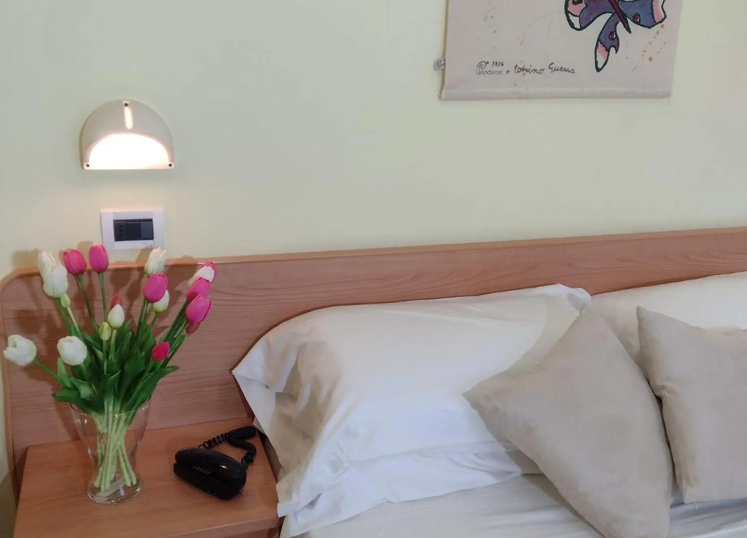 Hotel Ambasciata Cesenatico 3*,