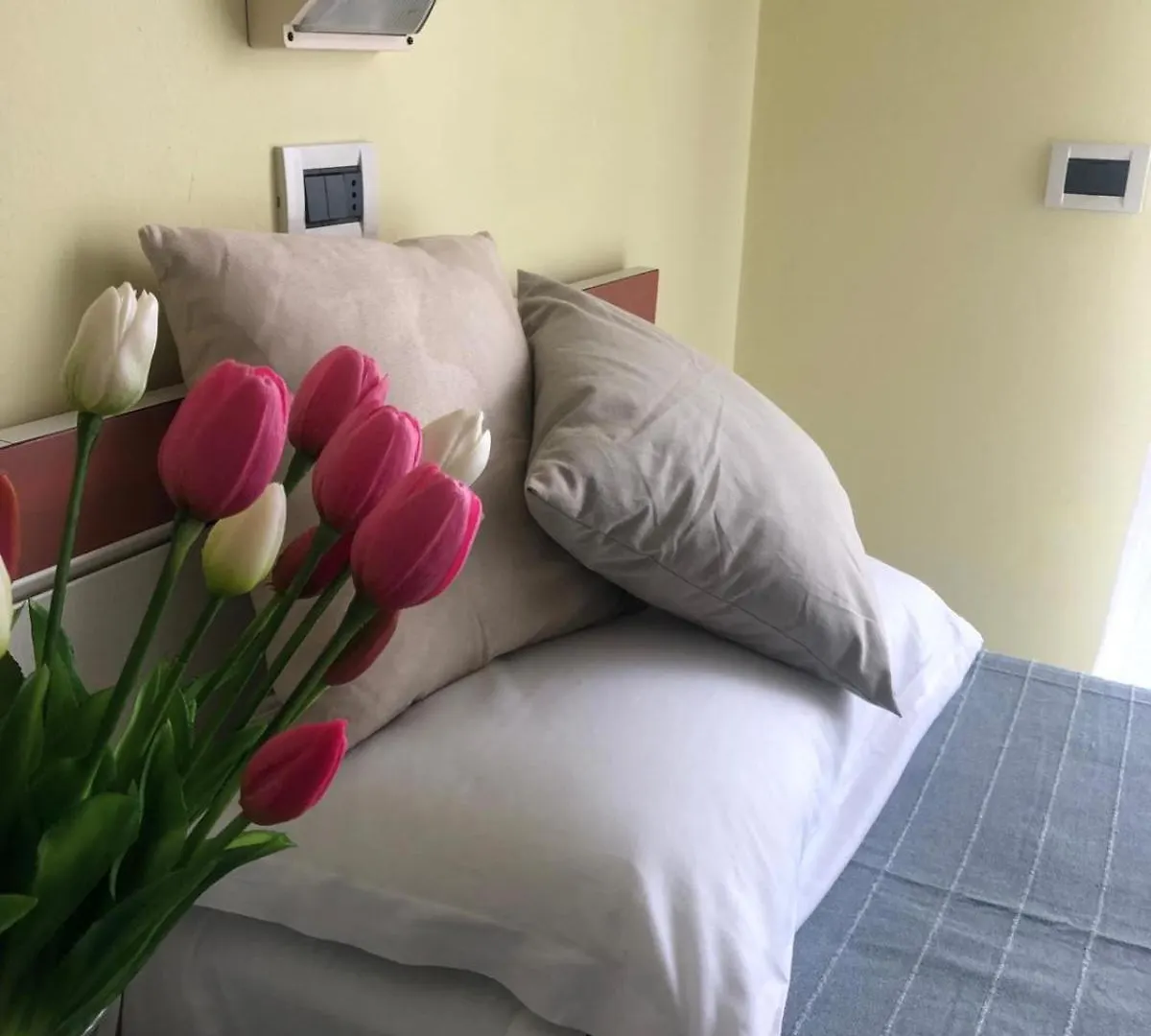 Hotel Ambasciata Cesenatico 3*,